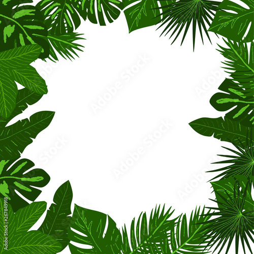 Tropical palm leaves background pattern illustration vector