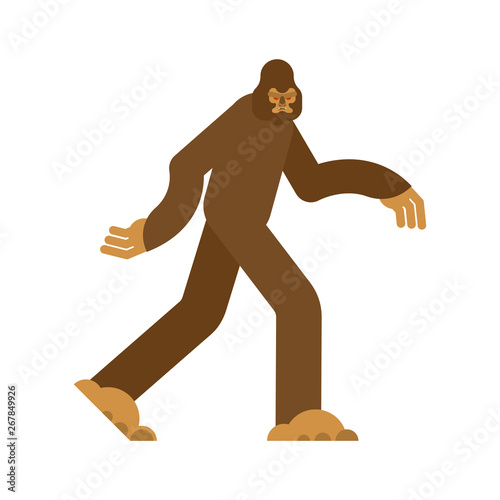 Bigfoot isolated. Yeti brown. Abominable snowman. sasquatch vector