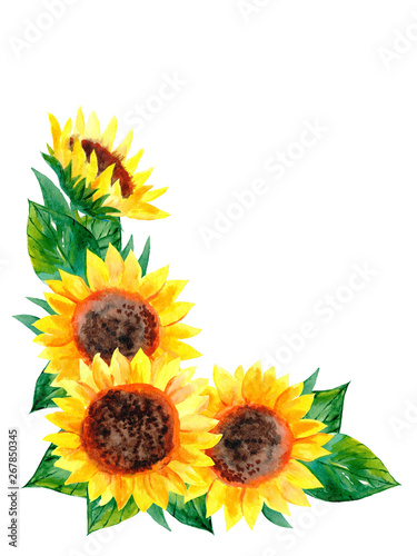Watercolor summer brigth frame (cornet) with sunflowers and leaves. Isolated on a white background.  Illustration. Harvest time.