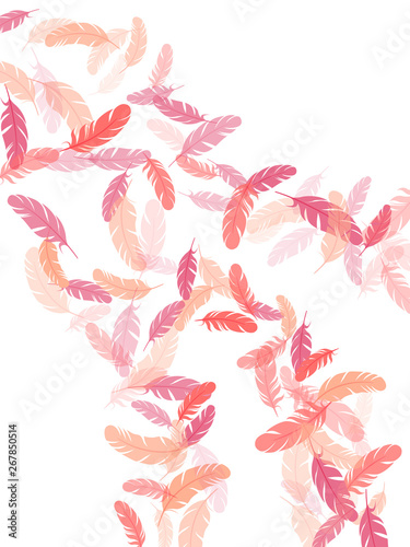 Tender pink flamingo feathers vector background. Plumage bohemian fashion shower decor. Soft plumelet native indian ornament. Flying feather elements airy vector design.
