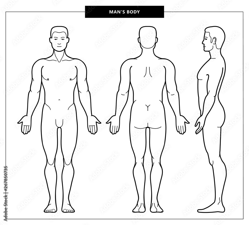 men's body and anatomy - obrazy, fototapety, plakaty 
