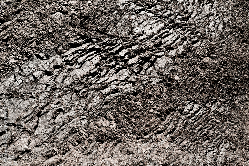 Fototapeta premium texture of ground dirt 