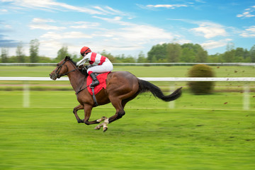Race horse with jockey on the home straight. Shaving effect.