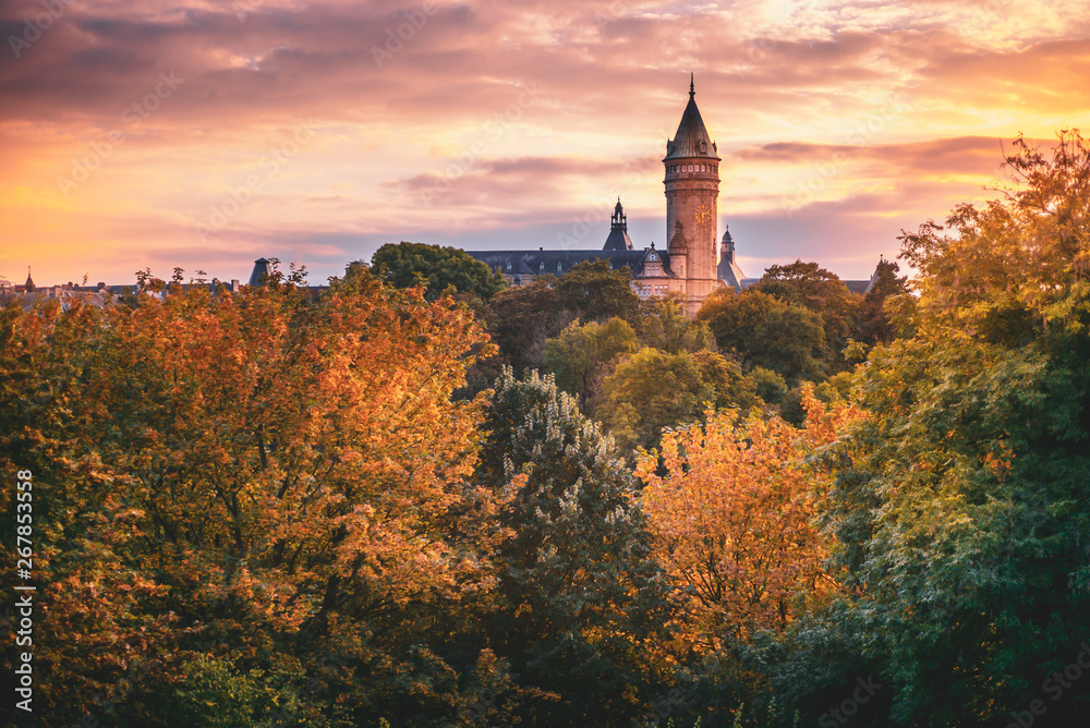 Fototapeta premium Tower of the Bank of Luxembourg surrounded by trees