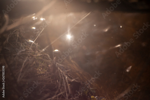 Bubbles on the water. Natural background. Stream of the river. Beautiful water removal. Fractal formations on the water. Lake in the spring. The stream of the stream washes away the sand. Natural shoo photo