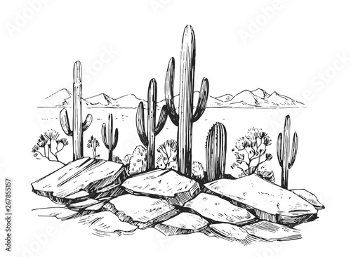 Sketch of the desert of America with cacti. Prairie landscape. Hand drawn vector illustration