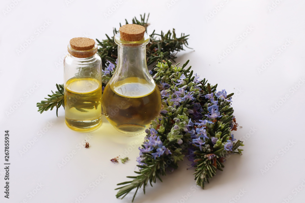 rosemary plant and rosemary oil in bottles