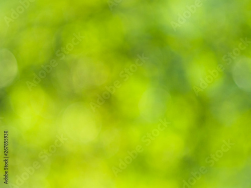Abstract green blurred background. Nature summer background, texture for design