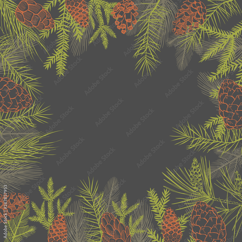 Vector background with Christmas plants. Hand-drawn ilustration. Vector background with Christmas plants. Hand-drawn ilustration.