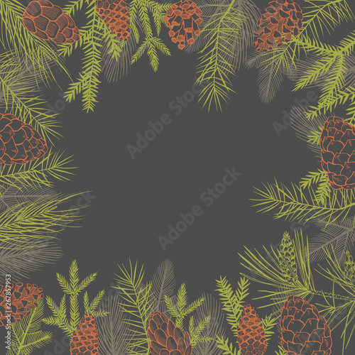 Vector background  with Christmas plants. Hand-drawn ilustration.