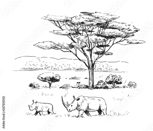 Sketch of the African savanna with trees and rhinoceros. Hand drawn illustration converted to vector.