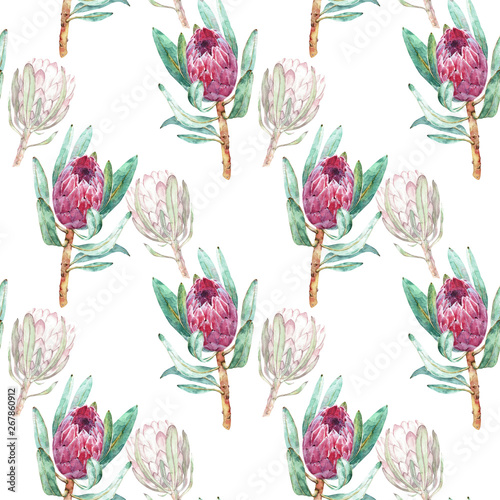 Pink Protea flower watercolor illustration. Seamless pattern design on a white background.