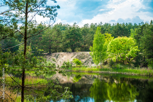 Green shore of the small lake. A small summer calm lake  pine forest and young deciduous trees on the shore