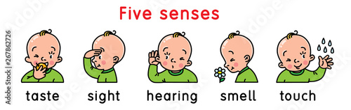 Five senses icon set.