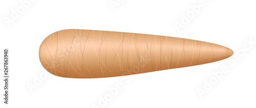 raw cassava fresh isolated on white background, cassava cut slice for tapioca flour industry or ethanol industry, pile yucca cassava tuber, raw manioc cassava in top view