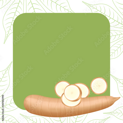 banner frame of cassava fresh for copy space, cassava cut slice for tapioca flour industry or ethanol, pile yucca cassava tuber on frame, raw manioc cassava on template banner green background empty
