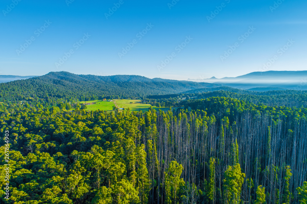 Scenic aerial landscape of forested hills and mountains in the morning