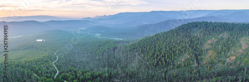 Mountains and eucalyptus forest at dusk - aerial panoramic landscape © Greg Brave