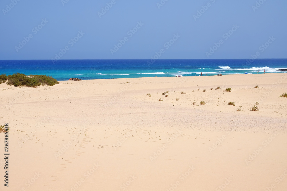 Beach Corralejo on Fuerteventura, Canary Islands.