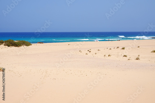 Beach Corralejo on Fuerteventura  Canary Islands.