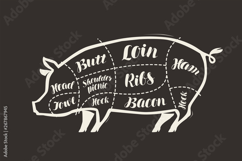 Cut of pig meat drawn on the blackboard. Menu for restaurant or butcher shop. Vector