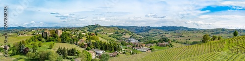piedmont vineyards langhe monferrato region, wine tasting area. panoramic wide view photo