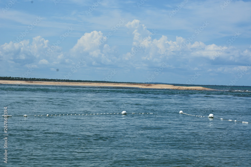 Obraz premium boipeba - bahia