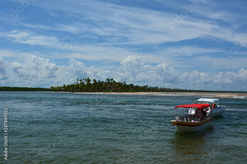 Wallpaper Mural boipeba - bahia Torontodigital.ca