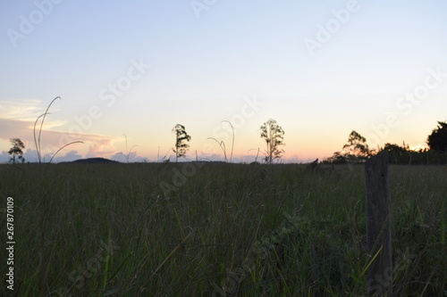 Silhueta de horizonte rural no pôr-do-sol