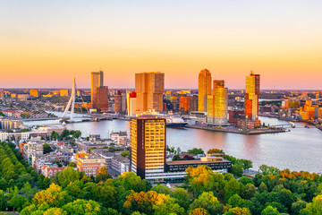 Fototapete Rotterdam Erasmusbrücke Rotterdam im Abendlicht  © dudlajzov