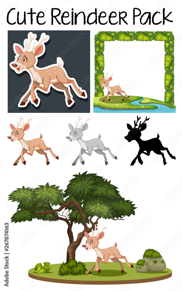 Fototapeta premium A pack of cute deer