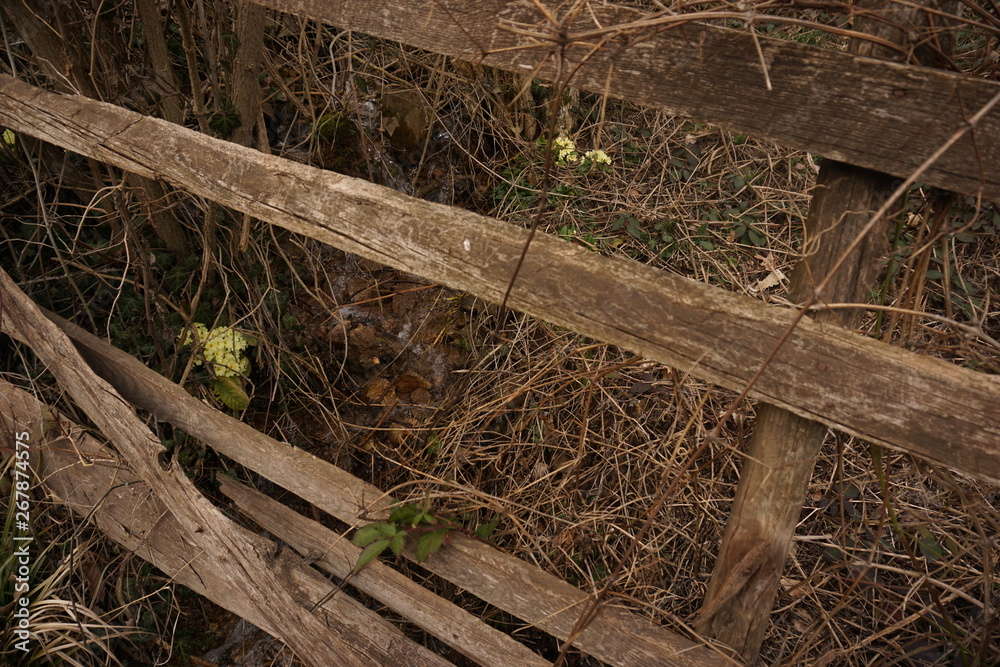 Obraz premium Fence with Flowers