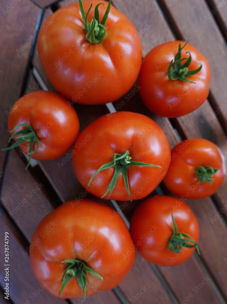 Tomatoes on Wood Table Tomatoes on Wood Table