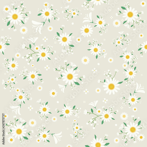 Seamless daisy floral pattern, Beautiful daisy floral, bloomy plant grass decor, illustration - Vector