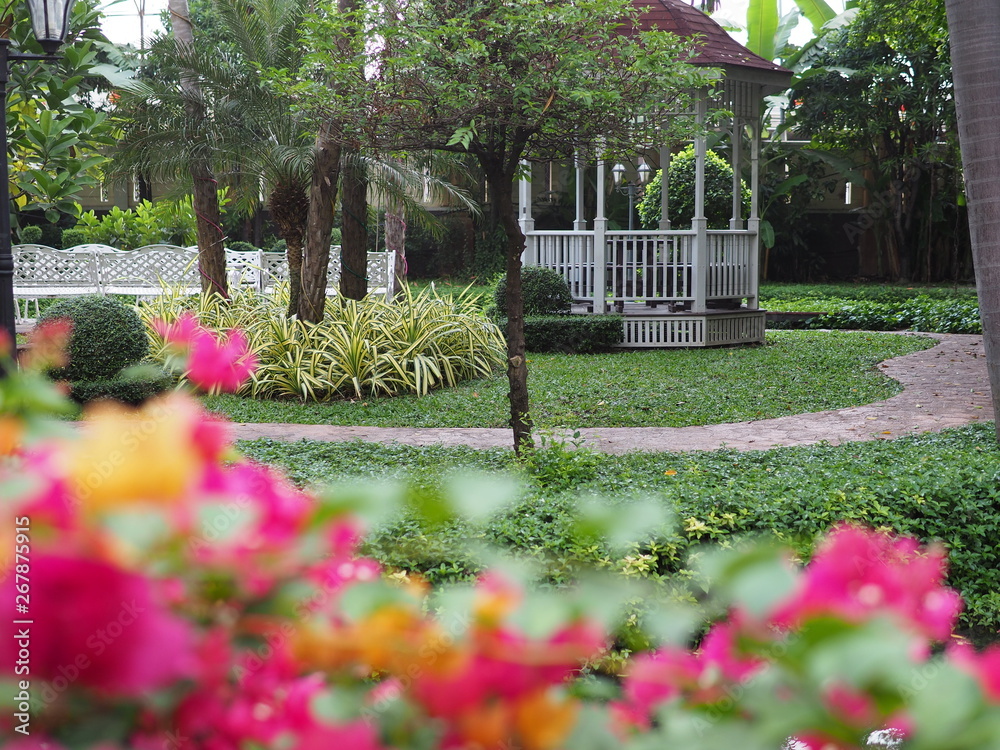 Obraz premium ดอกเฟื่องฟ้าสวยงามในสวนหย่อมพร้อมด้วยที่นั่ศาลาพัก