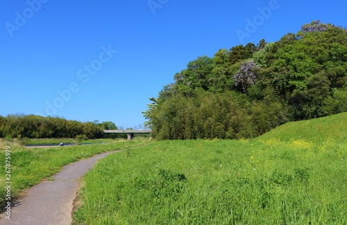 風景 春 橋 緑 空 思川 杤木