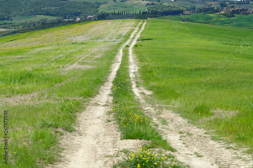 A country road. Val d'Orcia landscape in spring. Hills of Tuscany. Cypresses, hills, yellow rapeseed fields and green meadows. Val d'Orcia, Siena, Tuscany, Italy - May, 2019.