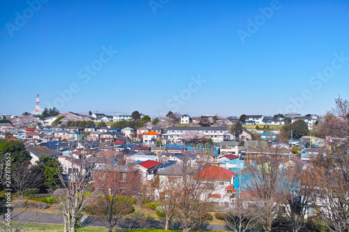 春の桜咲く、横浜市山手の閑静な住宅街