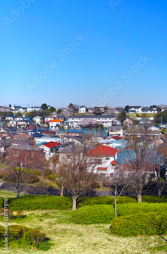 春の桜咲く、横浜市山手の閑静な住宅街