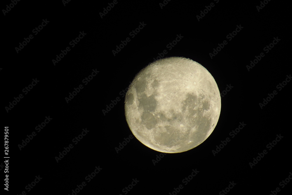 Obraz premium Super Lua