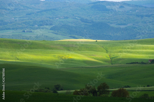 Val d Orcia landscape in spring. Hills of Tuscany. Cypresses  hills  yellow rapeseed fields and green meadows. Val d Orcia  Siena  Tuscany  Italy - May  2019.