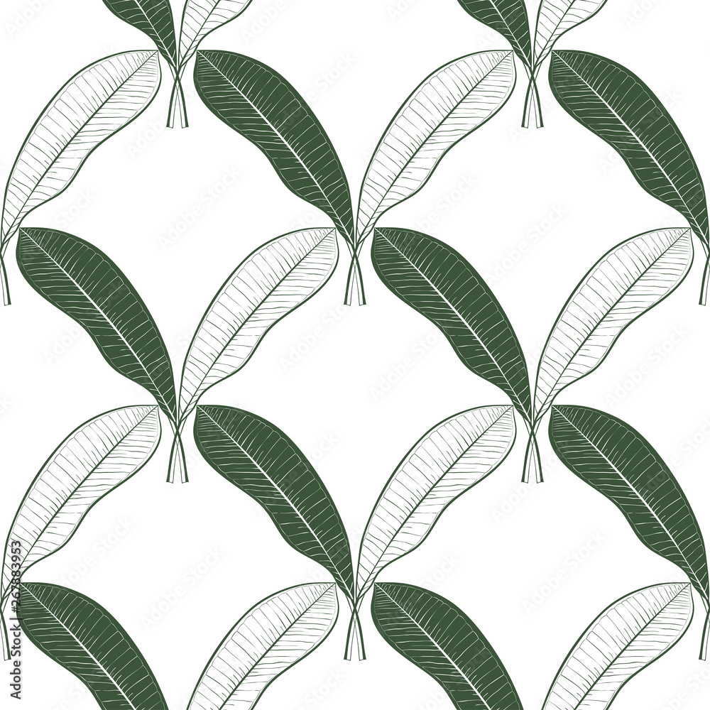 Floral seamless pattern with mango fruit leaves on white background, pastel vintage theme.