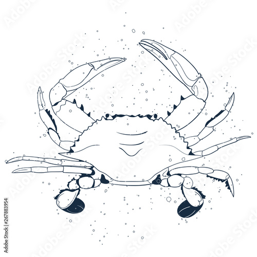 Crab line art  with air traps isolated on white background. Vector hand drawn illustration.