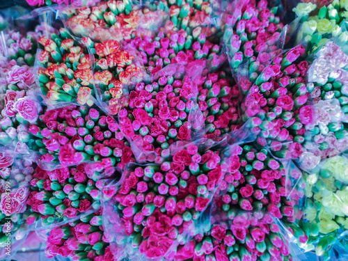 Selective focus beautiful bouquet of colorful Carnation flower.Blurred pink flower background.