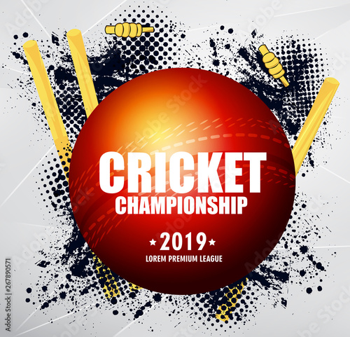 Cricket championship banner,POSTER cricket sports background - Vector