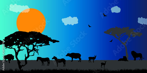 Photography African savanna landscape