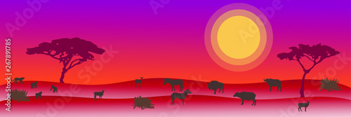 Photography African savanna landscape