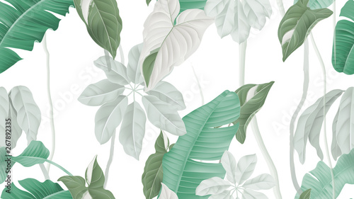 Tropical forest seamless pattern, banana leaves, Syngonium podophyllum albo-variegatum and Schefflera arboricola or umbrella tree on white background, pastel vintage theme
