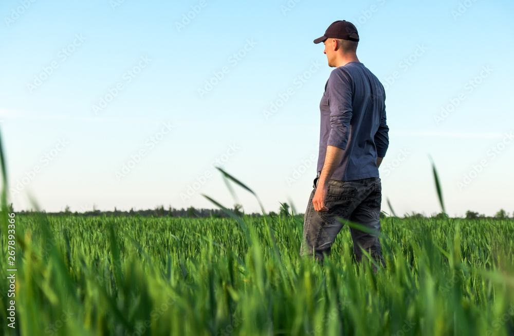 Handsome farmer. Young man walking in green field. Spring agriculture. Handsome farmer. Young man walking in green field. Spring agriculture.