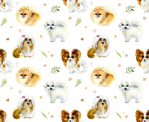 Keuken achterwand Honden patronen Aquarel kleine hondjes cartoon patroon  © budogosh